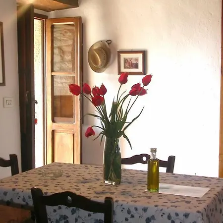 Ciliegio Cortona